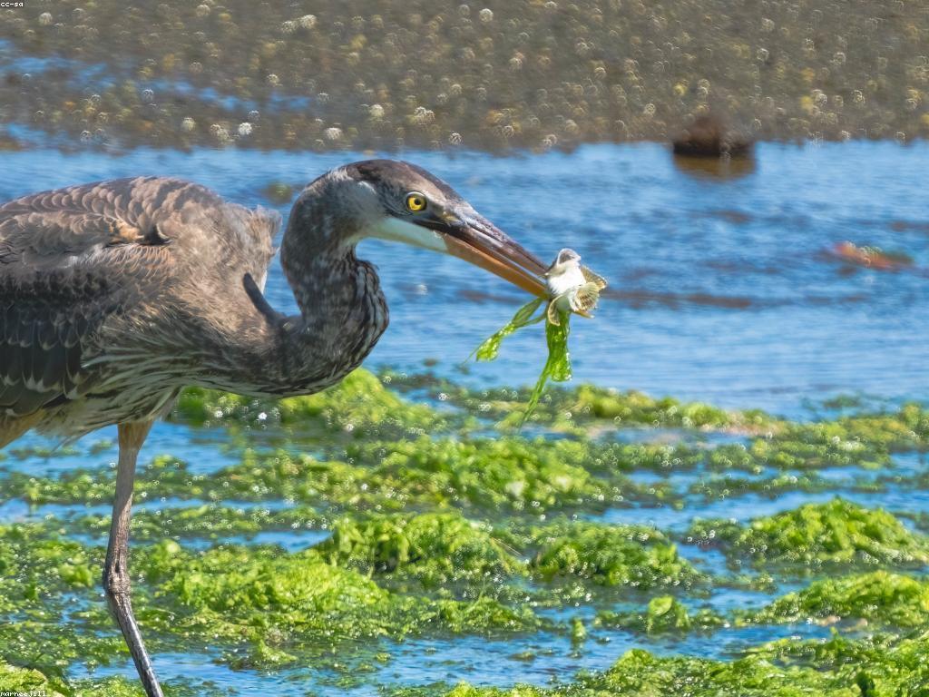 យុទ្ធសាស្ត្របាញ់ត្រី: របៀបស្វែងរកកន្លែងកាន់តែមានប្រសិទ្ធភាព