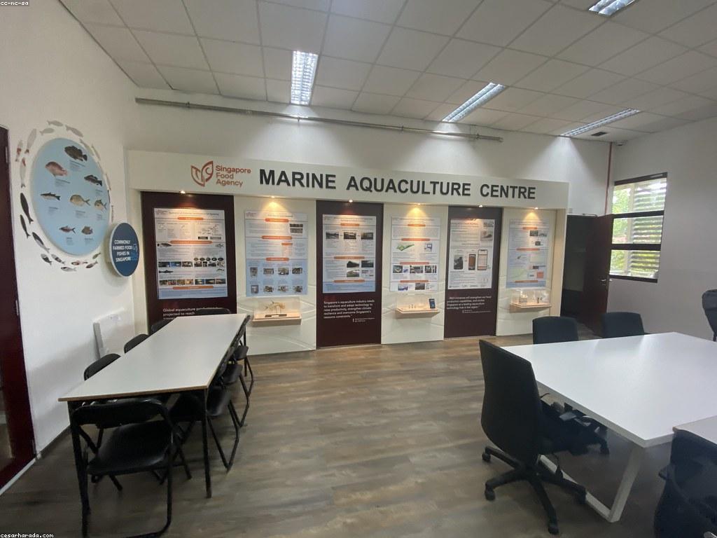 ការយល់ដឹងអំពីបច្ចេកទេសការបញ្ចូលត្រី