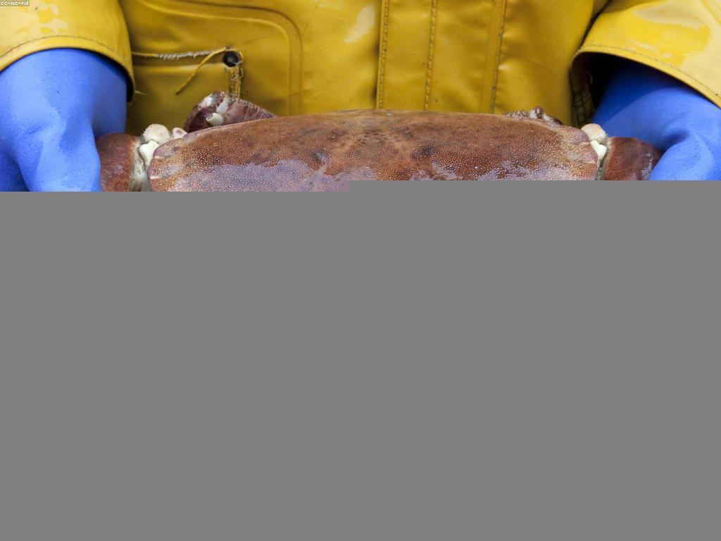 យុទ្ធសាស្ត្របាញ់ត្រី: វិធីសាស្ត្រដើម្បីការបាញ់ត្រីយ៉ាងប្រកបដោយចីរភាព