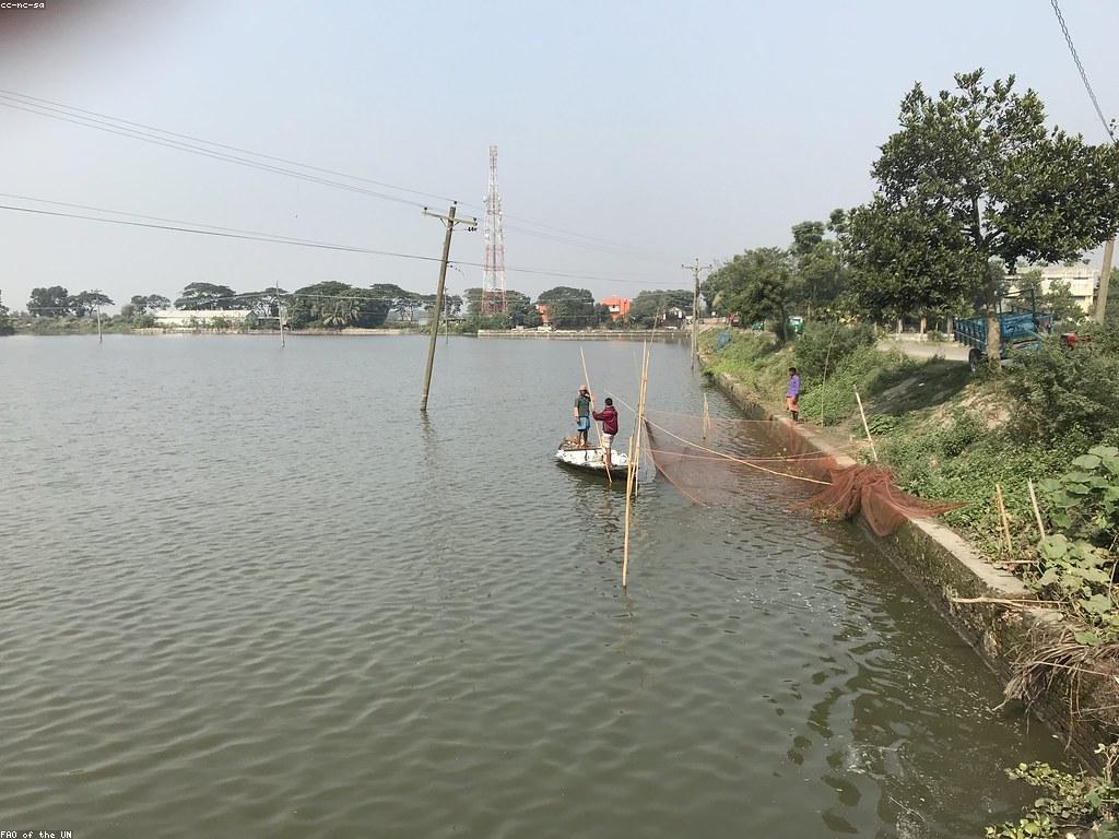 យុទ្ធសាស្ត្របាញ់ត្រីសម្រាប់ឧបករណ៍កំចាត់សារាជេទំនាក់ទំនង