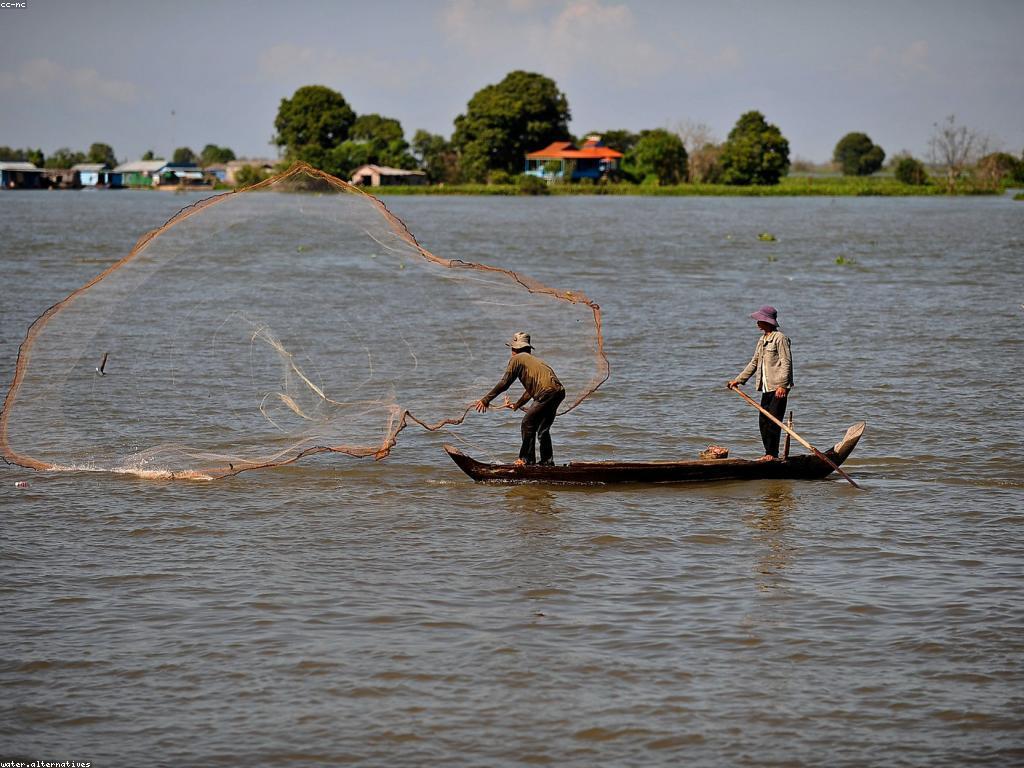 ការយល់ដឹងអំពីការបញ្ចូលត្រី
