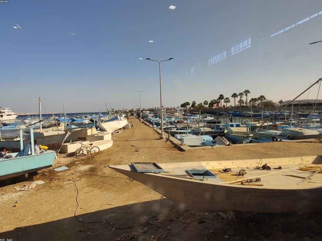 ការបញ្ចូលត្រី៖ អ្វីដែលអ្នកត្រូវដឹងអំពីការបញ្ចូលត្រីទំនើប