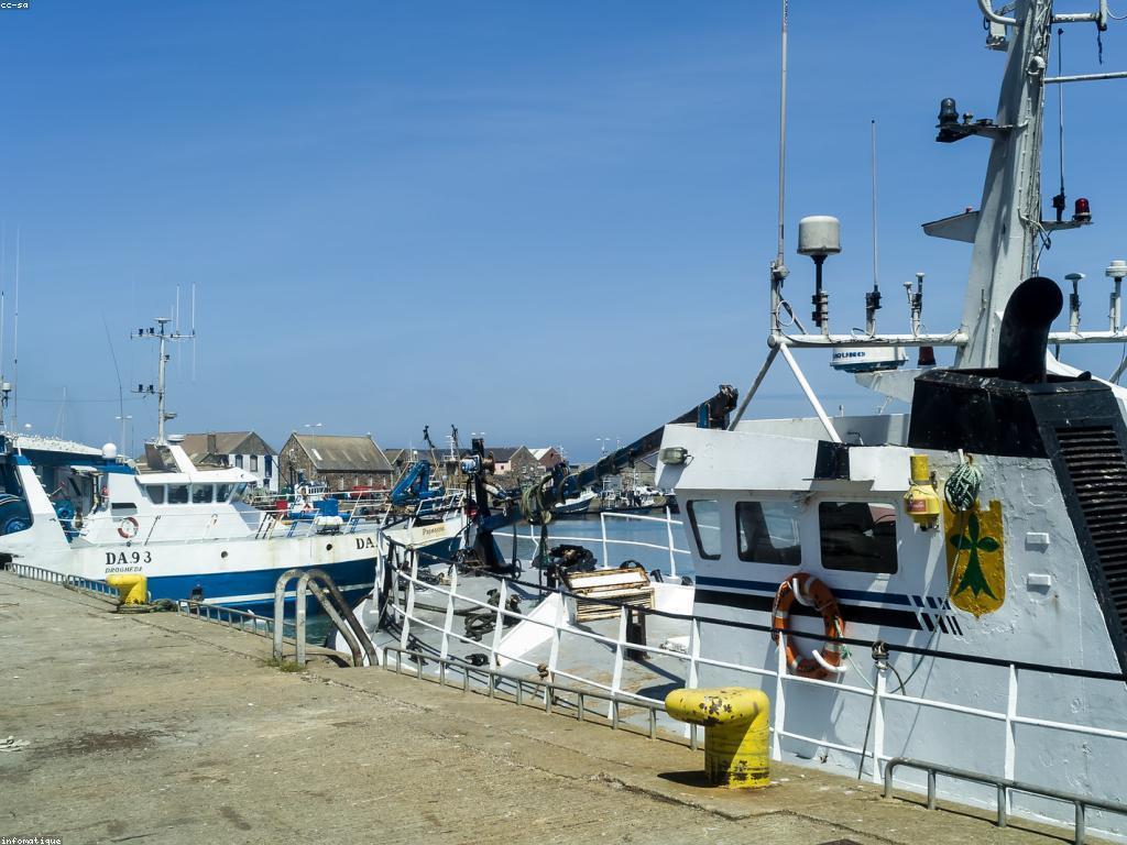 មគ្គុទេសក៍សម្រាប់ឧបករណ៍បាញ់ត្រី