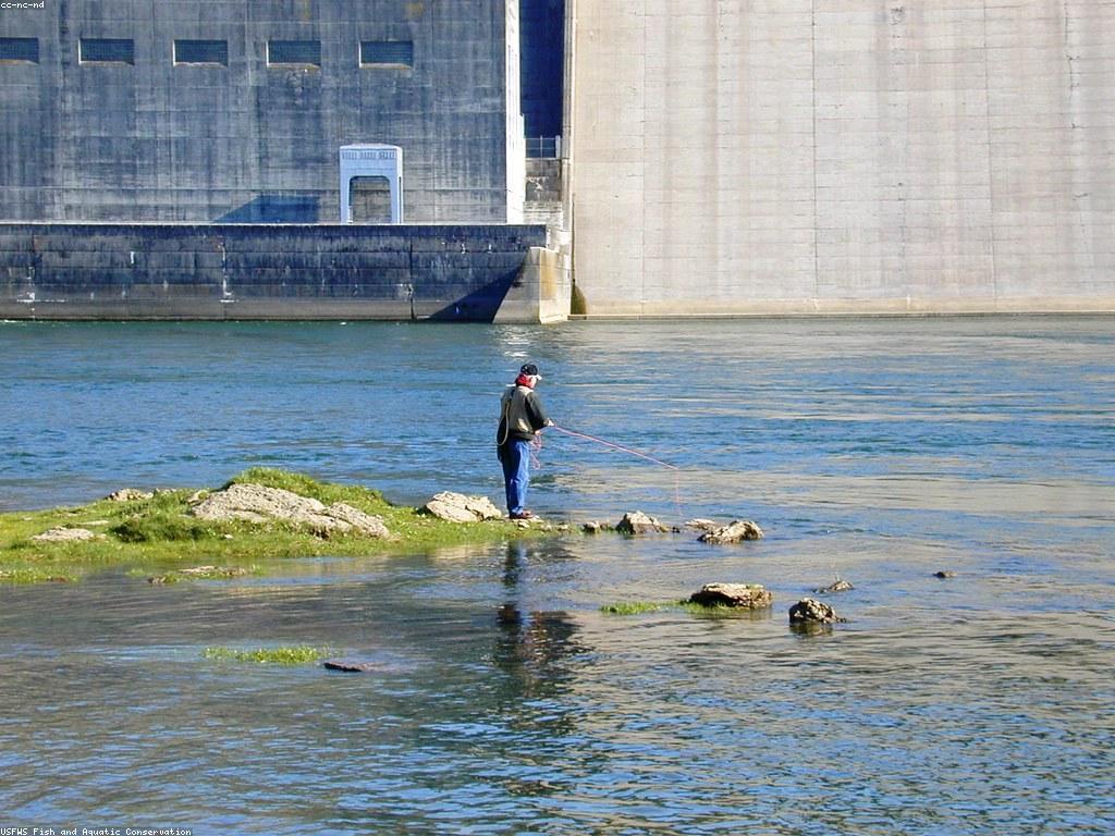 អត្ថប្រយោជន៍នៃឧបករណ៍បាញ់ត្រី