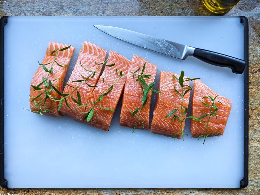 យុទ្ធសាស្ត្រកម្រិតខ្ពស់សម្រាប់ការបញ្ចូលត្រីជោគជ័យ