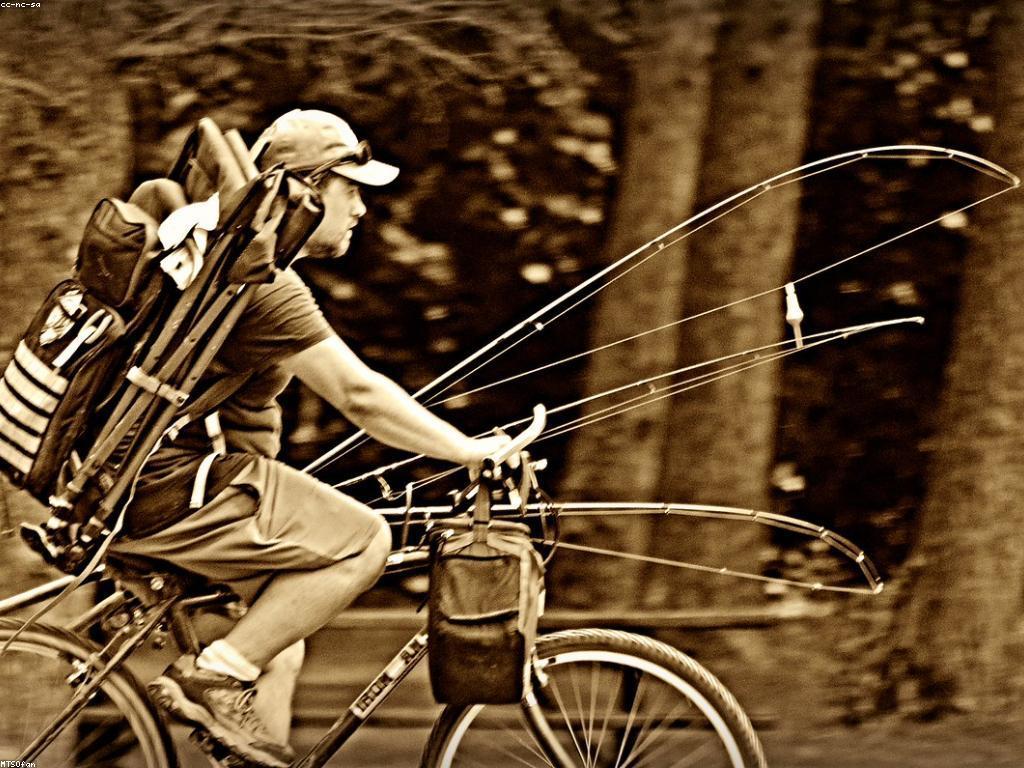 យុទ្ធសាស្ត្របាញ់ត្រី: ការប្រើប្រាស់ឧបករណ៍មួយចំនួនសម្រាប់ជោគជ័យ