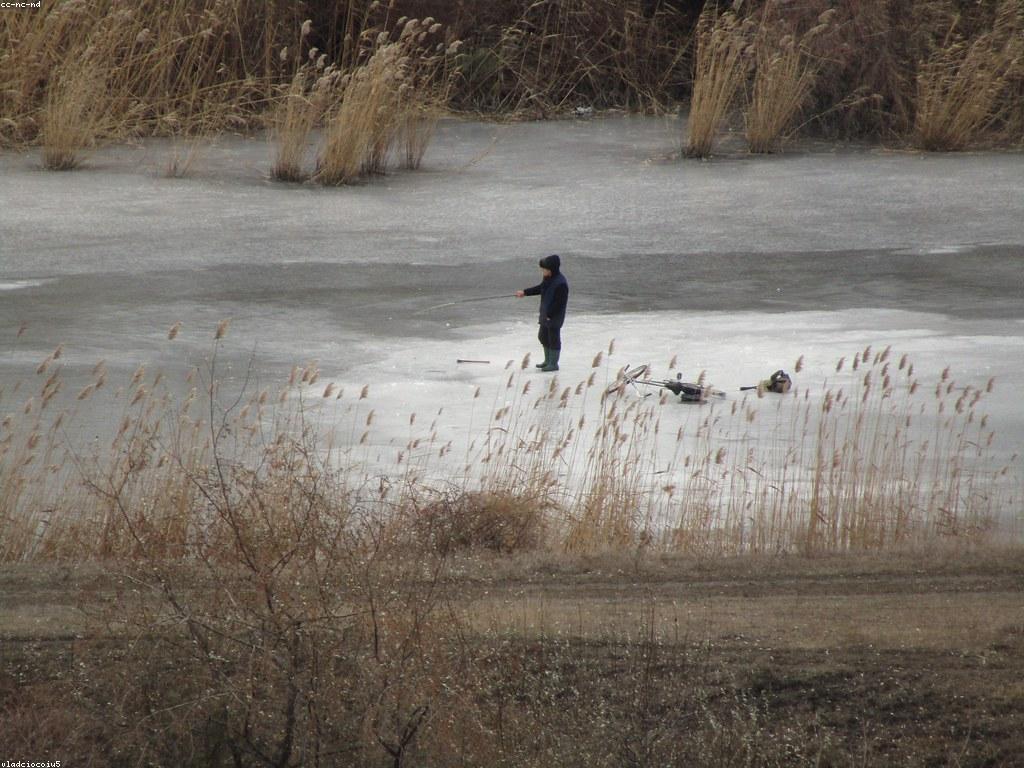 យុទ្ធសាស្ត្របាញ់ត្រី: ការយល់ដឹងពីក្បួននិងកម្រិតនៃការបាញ់ត្រី