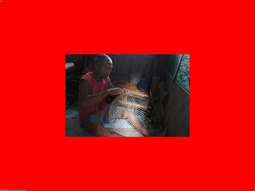 យុទ្ធសាស្ត្របាញ់ត្រីសម្រាប់ការអភិវឌ្ឍន៍បរិស្ថាន