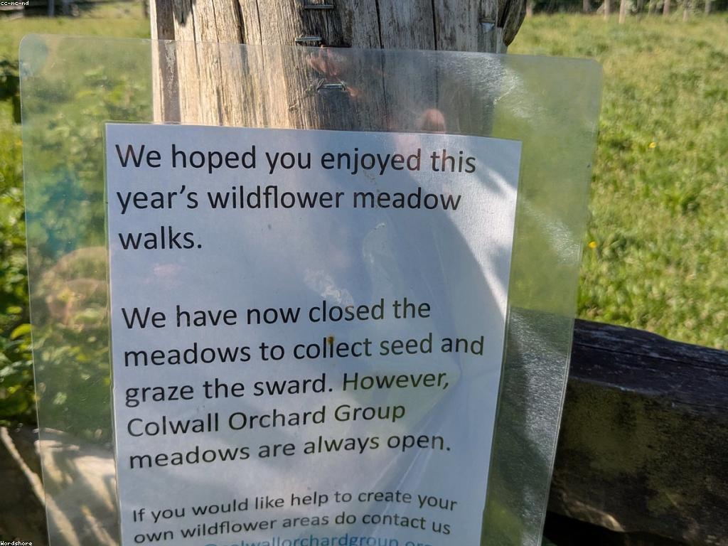 ការយល់ដឹងអំពីការបញ្ចូលត្រី