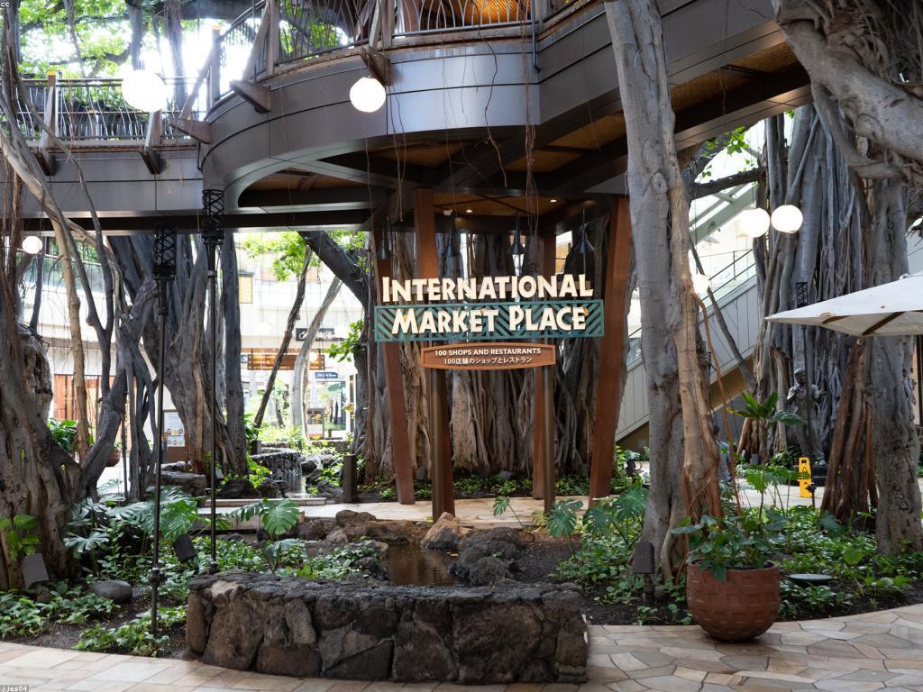 ការបញ្ចូលត្រីជាការបច្ចេកវិទ្យាដើម្បីពង្រីកផលិតកម្ម